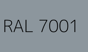 Colore RAL 7001